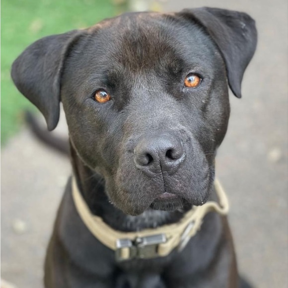 Meet your Posher, Michelle&Jake - Picture 2 of 2